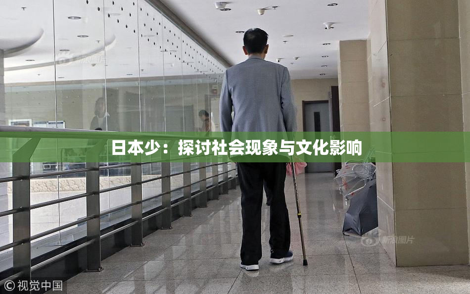 日本少：探讨社会现象与文化影响