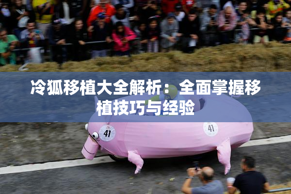 冷狐移植大全解析：全面掌握移植技巧与经验