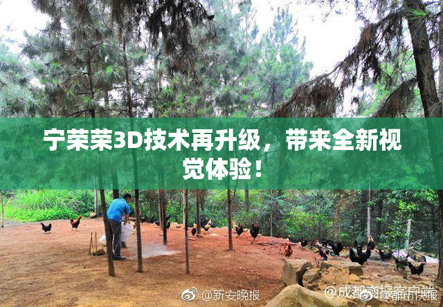 宁荣荣3D技术再升级，带来全新视觉体验！
