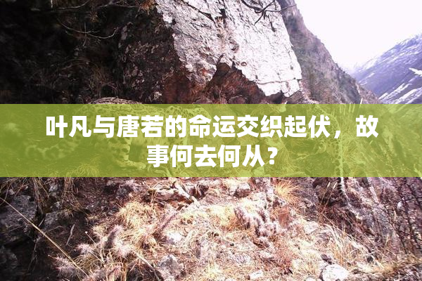 叶凡与唐若的命运交织起伏，故事何去何从？