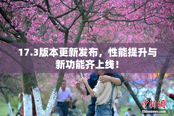17.3版本更新发布，性能提升与新功能齐上线！