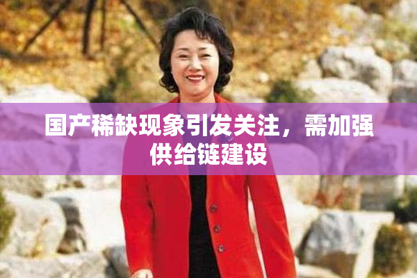 国产稀缺现象引发关注，需加强供给链建设
