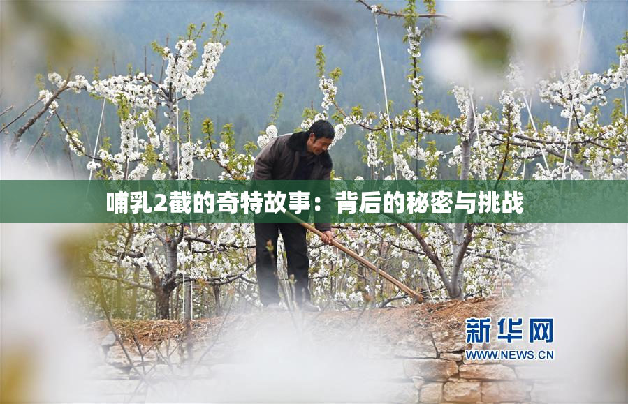 哺乳2截的奇特故事：背后的秘密与挑战