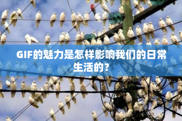 GIF的魅力是怎样影响我们的日常生活的？