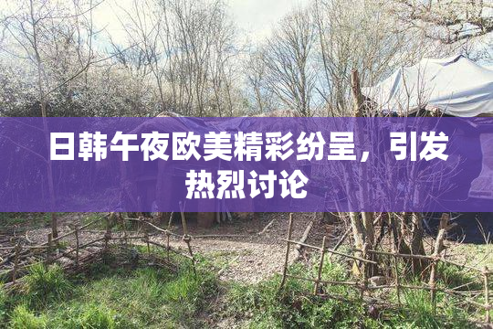 日韩午夜欧美精彩纷呈，引发热烈讨论