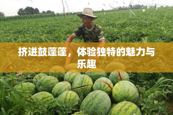 挤进鼓蓬蓬，体验独特的魅力与乐趣