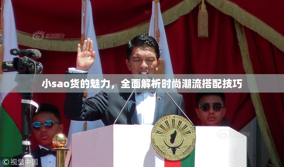 小sao货的魅力，全面解析时尚潮流搭配技巧