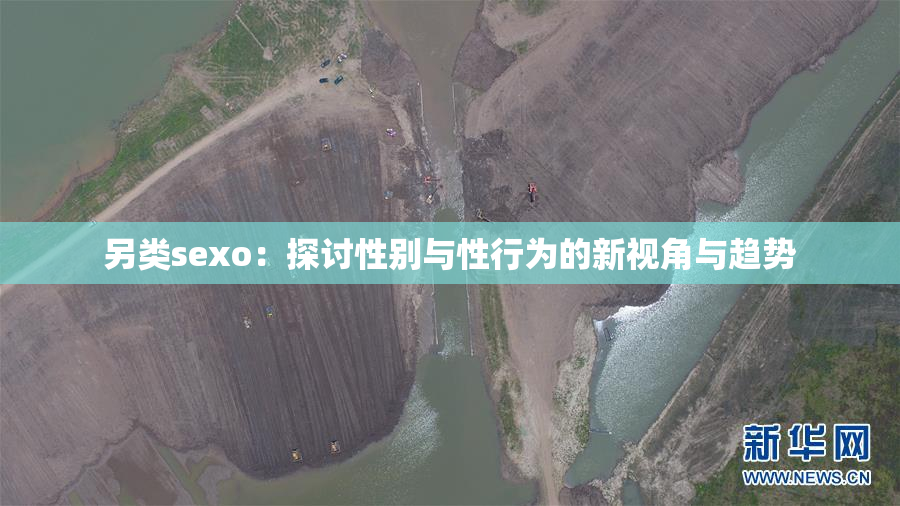 另类sexo：探讨性别与性行为的新视角与趋势