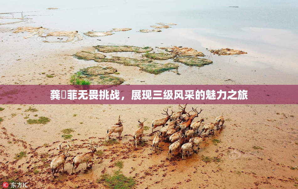 龚玥菲无畏挑战，展现三级风采的魅力之旅