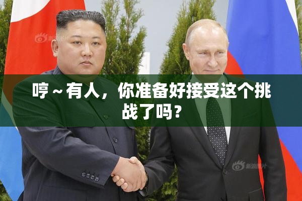 哼～有人，你准备好接受这个挑战了吗？