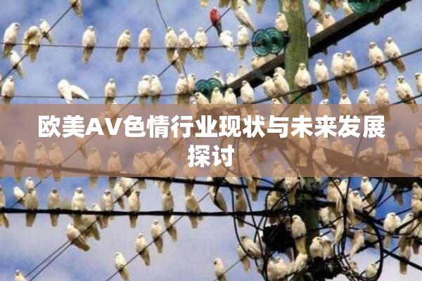 欧美AV色情行业现状与未来发展探讨