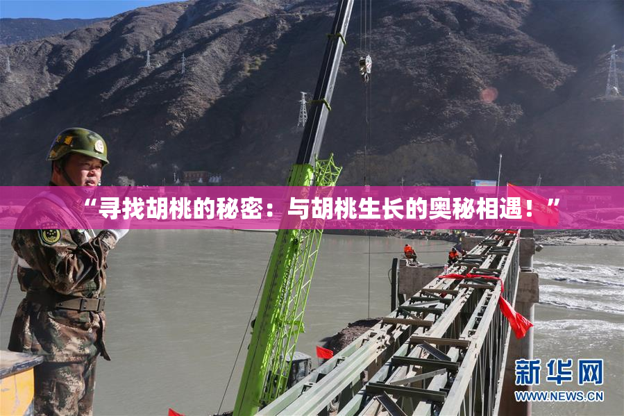 “寻找胡桃的秘密：与胡桃生长的奥秘相遇！”