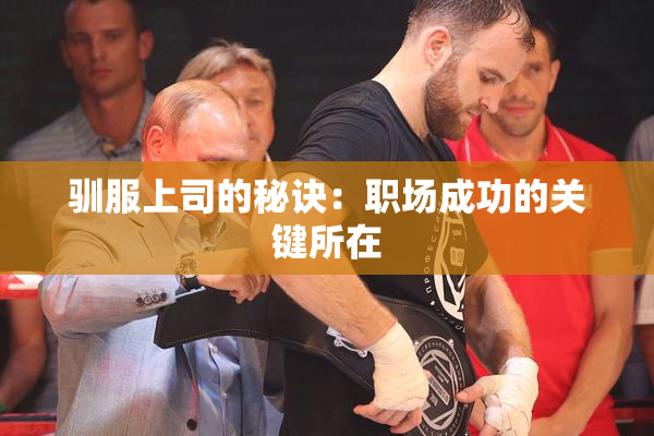 驯服上司的秘诀：职场成功的关键所在