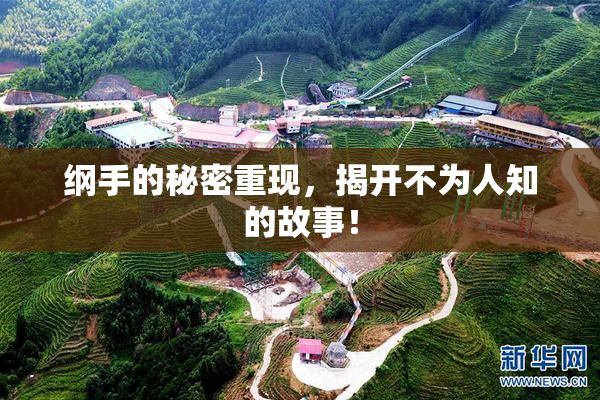 纲手的秘密重现，揭开不为人知的故事！