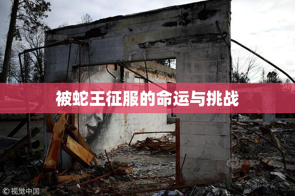 被蛇王征服的命运与挑战