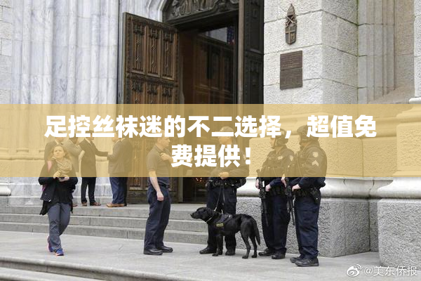 足控丝袜迷的不二选择，超值免费提供！