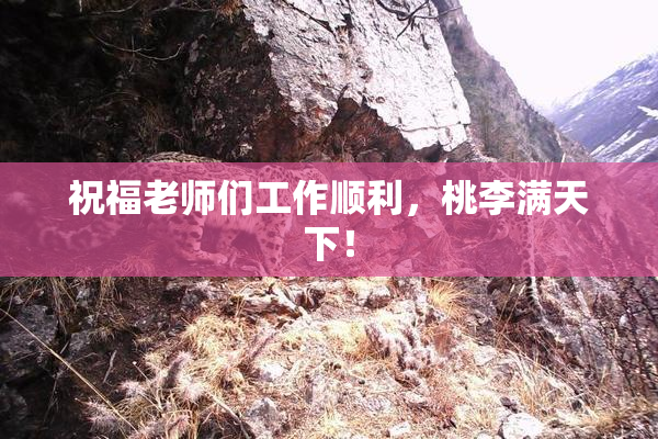 祝福老师们工作顺利，桃李满天下！