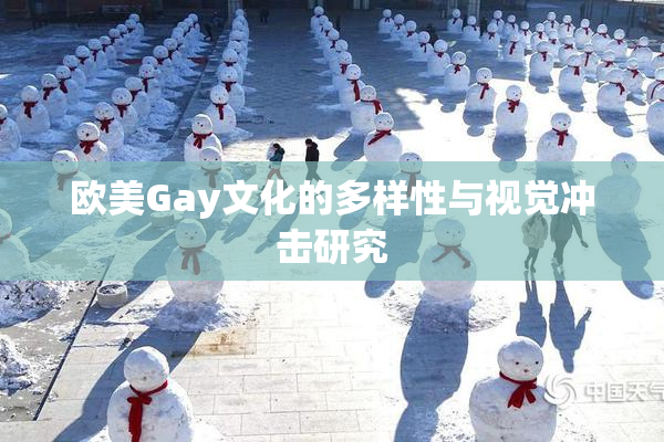 欧美Gay文化的多样性与视觉冲击研究