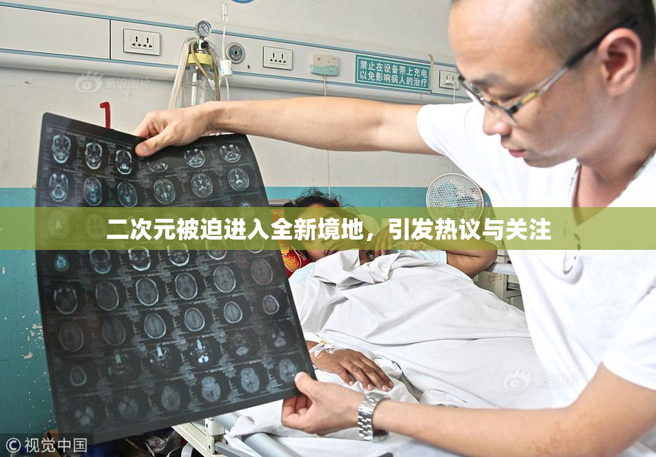 二次元被迫进入全新境地，引发热议与关注