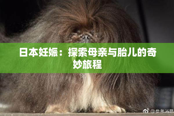 日本妊娠：探索母亲与胎儿的奇妙旅程