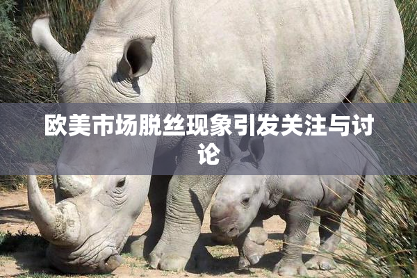 欧美市场脱丝现象引发关注与讨论