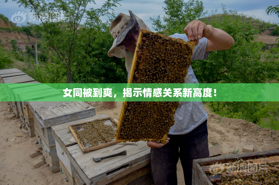 女同被到爽，揭示情感关系新高度！