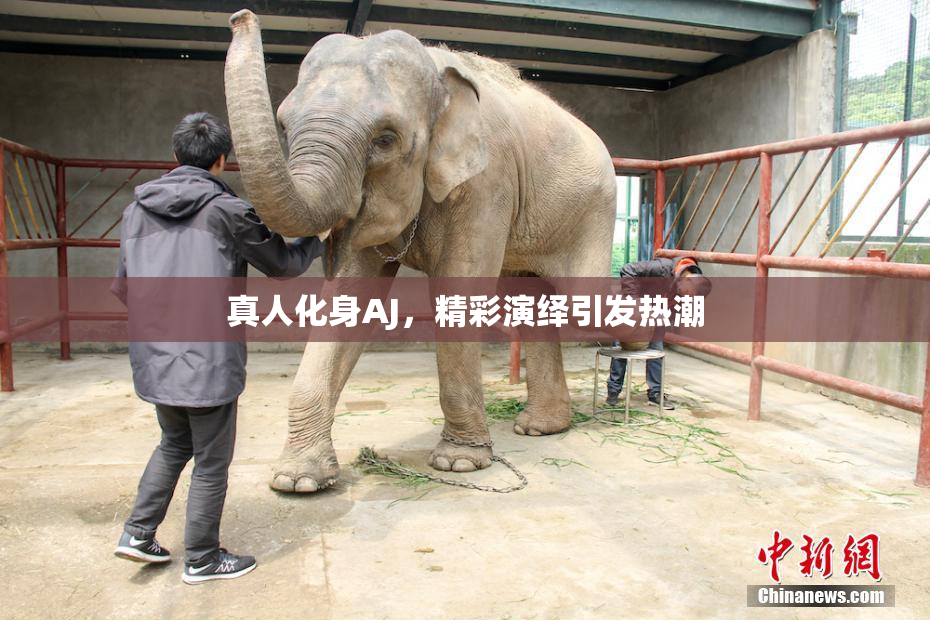真人化身AJ，精彩演绎引发热潮