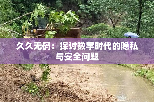 久久无码：探讨数字时代的隐私与安全问题
