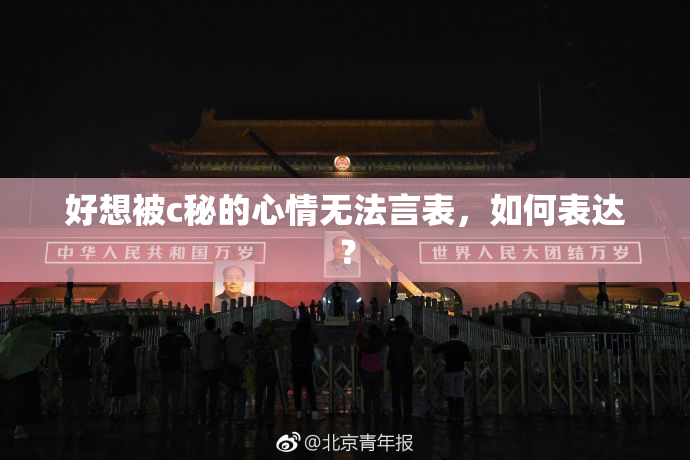 好想被c秘的心情无法言表，如何表达？