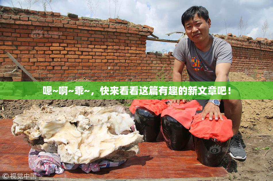 嗯~啊~乖~，快来看看这篇有趣的新文章吧！