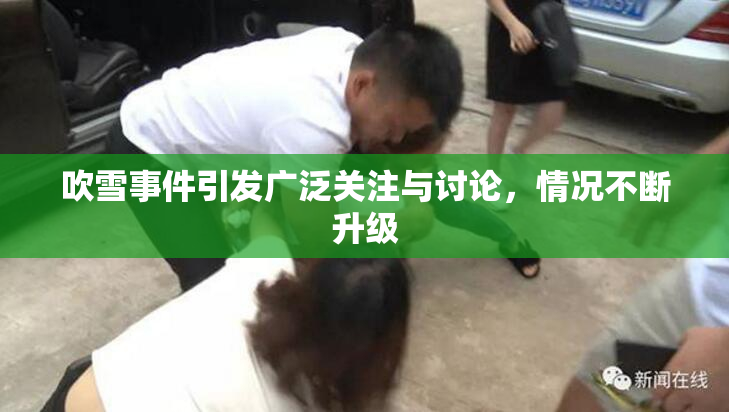 吹雪事件引发广泛关注与讨论，情况不断升级