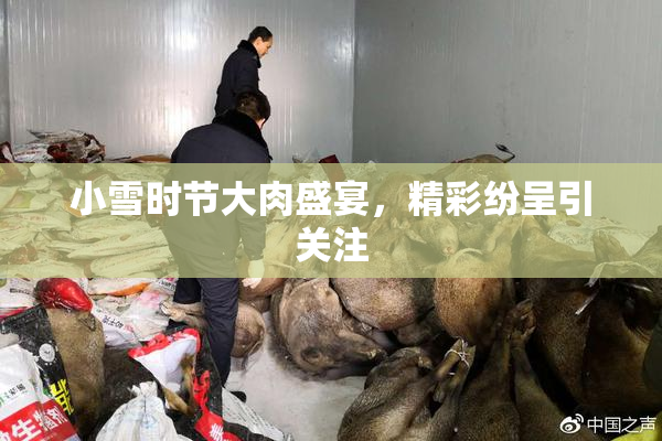 小雪时节大肉盛宴，精彩纷呈引关注