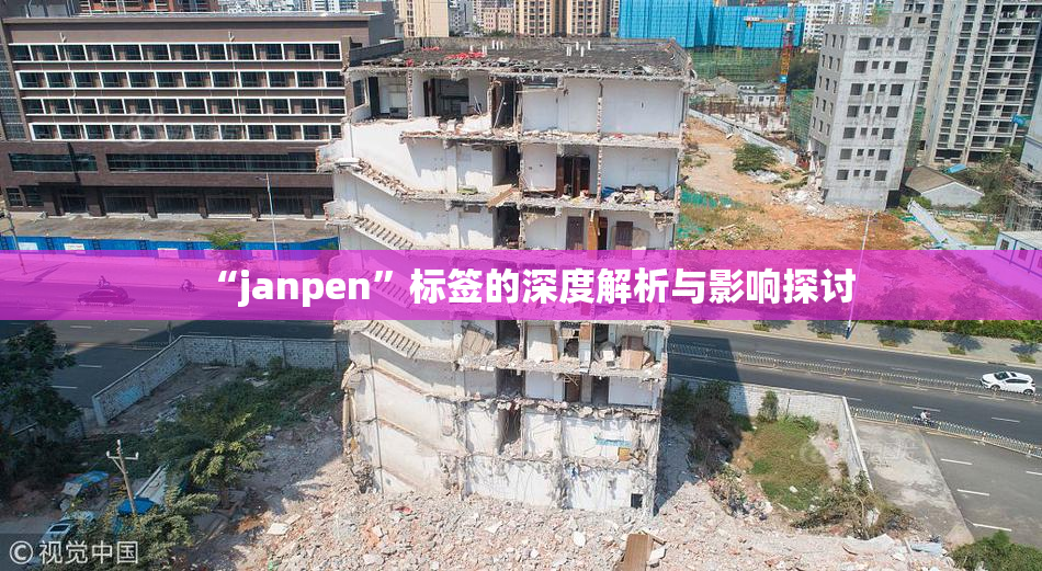 “janpen”标签的深度解析与影响探讨
