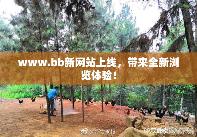 www.bb新网站上线，带来全新浏览体验！