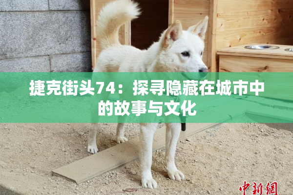 捷克街头74：探寻隐藏在城市中的故事与文化