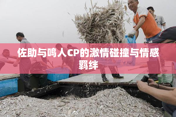 佐助与鸣人CP的激情碰撞与情感羁绊