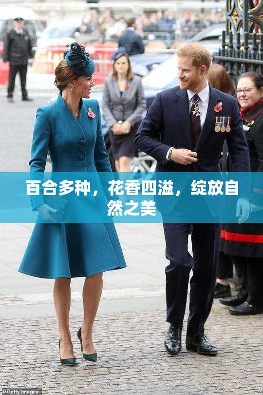 百合多种，花香四溢，绽放自然之美