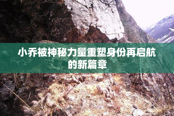 小乔被神秘力量重塑身份再启航的新篇章