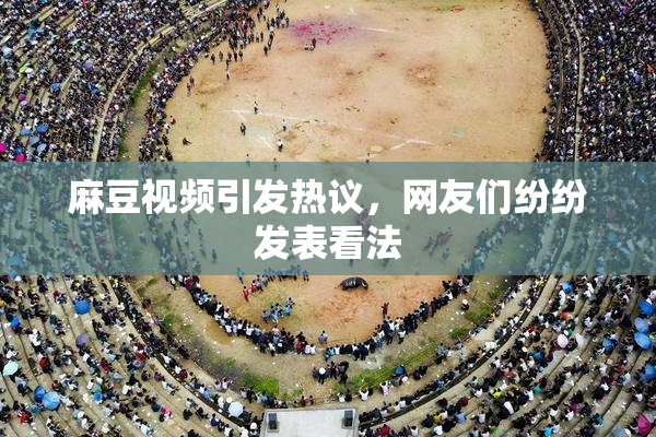 麻豆视频引发热议，网友们纷纷发表看法
