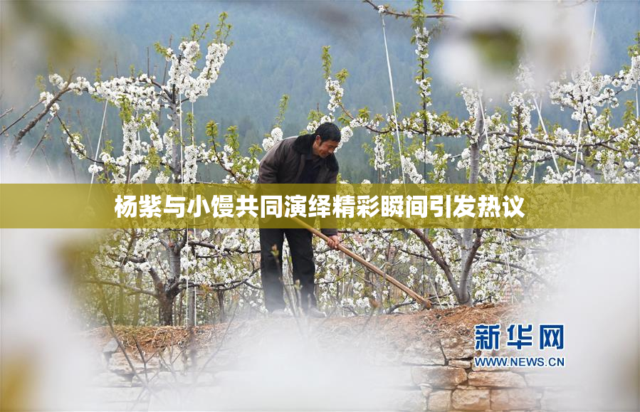 杨紫与小馒共同演绎精彩瞬间引发热议