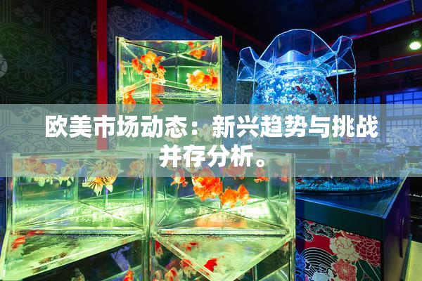 欧美市场动态：新兴趋势与挑战并存分析。