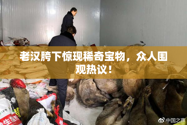 老汉胯下惊现稀奇宝物，众人围观热议！