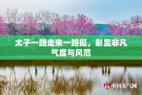 太子一路走来一路挺，彰显非凡气度与风范