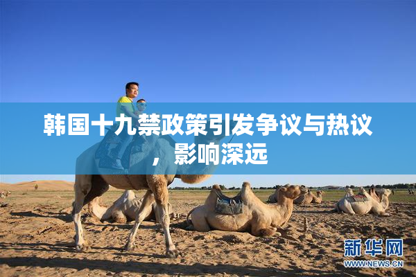 韩国十九禁政策引发争议与热议，影响深远