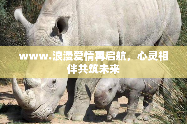 www.浪漫爱情再启航，心灵相伴共筑未来