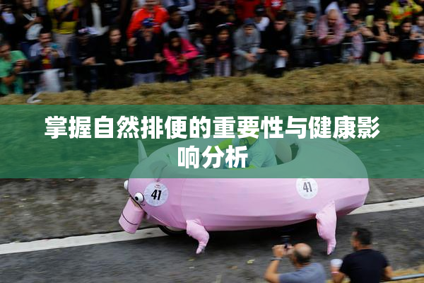 掌握自然排便的重要性与健康影响分析