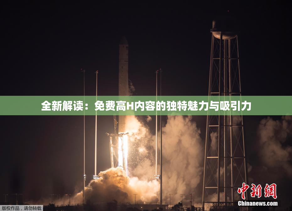 全新解读：免费高H内容的独特魅力与吸引力