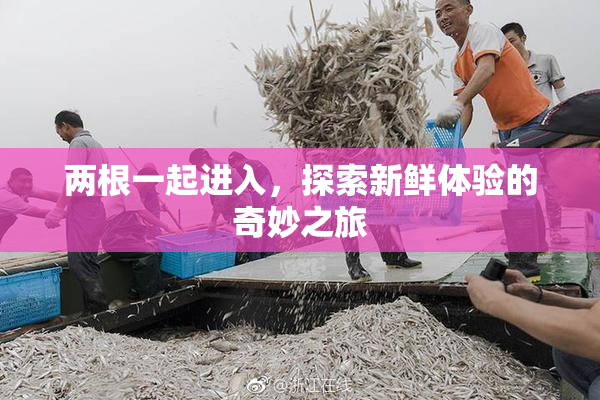 两根一起进入，探索新鲜体验的奇妙之旅