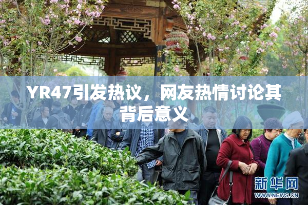 YR47引发热议，网友热情讨论其背后意义