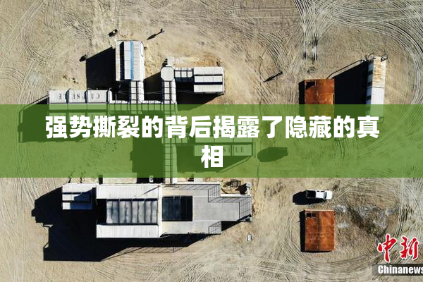 强势撕裂的背后揭露了隐藏的真相